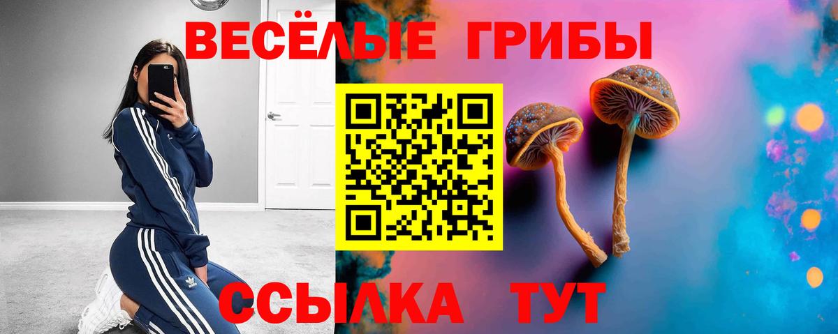 Каменск-Уральский  Галлюциногенные грибы Magic Shrooms  наркотики  Псилоцибиновые грибы Psilocybe  Вход с VPN 